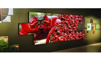 Case Study: A vision of natural splendour arrives