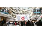 The Vamps go wild at Westfield