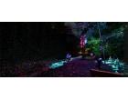 Moment Factory creates illuminated trail through forest