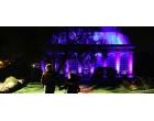 Black Light shines at Royal Botanic Gardens