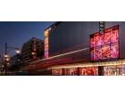 Mushroom creates festive lighting magic for Debenhams