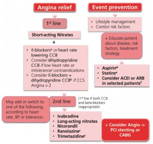 Angina Pectoris Treatment Management: Medical Care