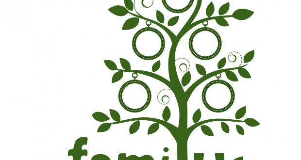 Family Money Tree Example Money grows on family trees