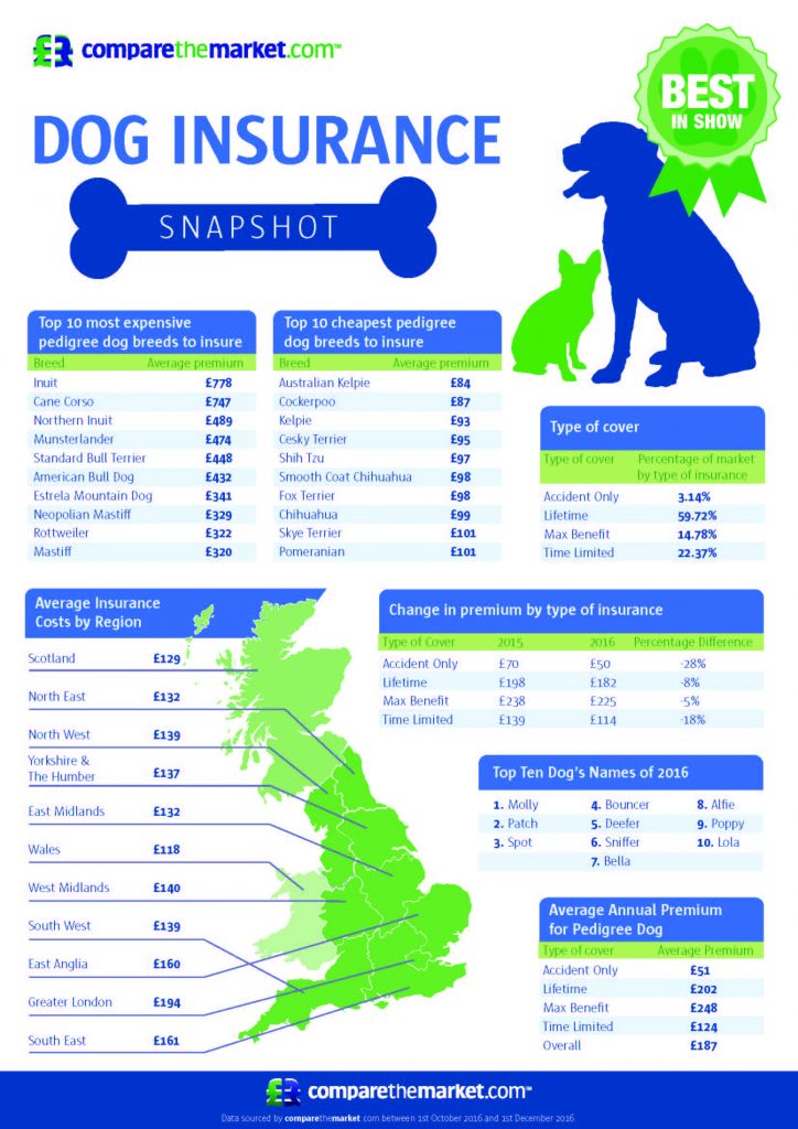 Insuring a dog might be more expensive than you think