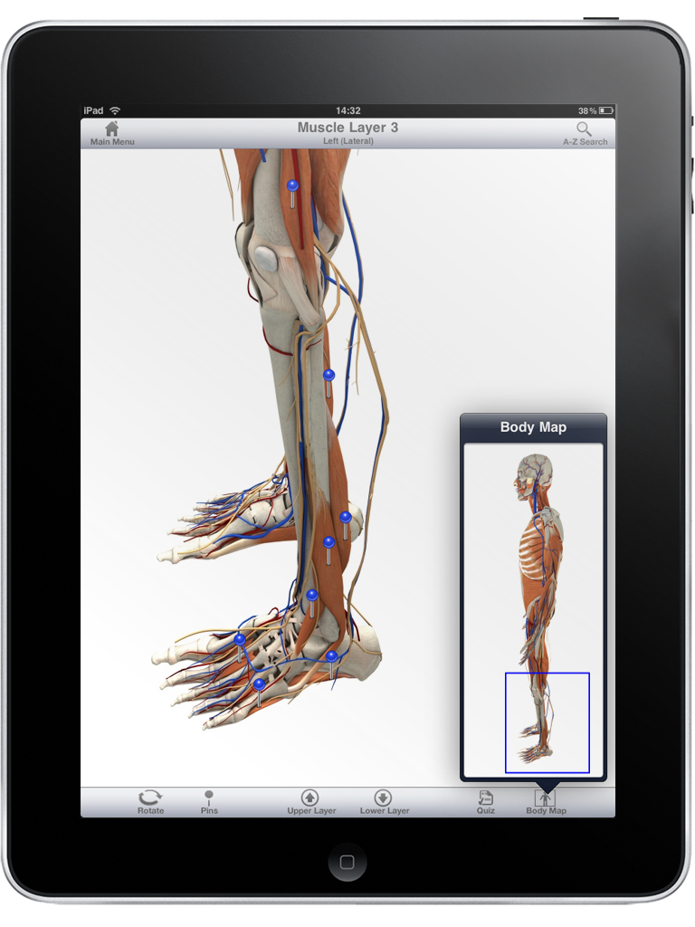 There’s an App for Anatomy too — GMIT