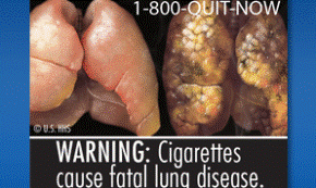 how to get rid of cigarette odor 4 Ways to Get Cigarette Smoke off Your Breath