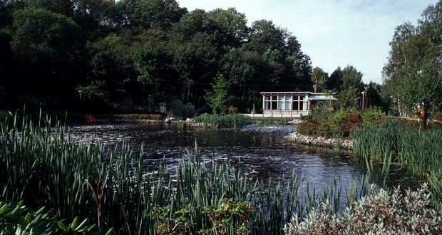 Arctic power essay 02 image