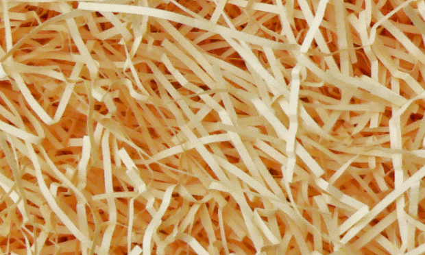 Holistic Health Applying The Medicine Wheel