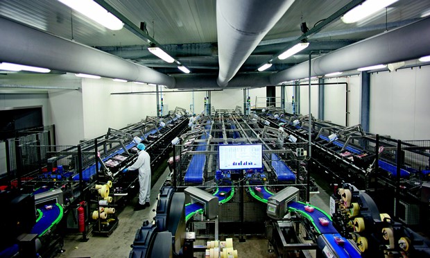 CSB automated system boosts performance