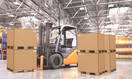 Investment firm FSE’s support fuels growth for PALLITE Group