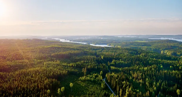 Metsä Board achieves CDP Triple A rating for environmental leadership