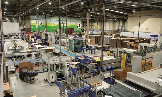 ÖZEL | Smurfit, Atlas Packaging'te çevikliğe odaklanarak yerel kalmasını sağlıyor