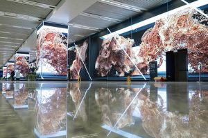 Shanghai-Transport-Hub-Installs-1800m%C2%B2-of-Absen-LED-300x200.jpg