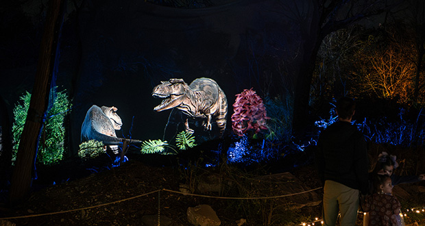 Paintscaping creates 'world-first dinosaur projection park' | AV